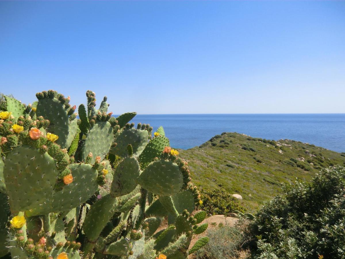Sailing Lägenhet Cagliari Exteriör bild